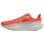 Nike Pegasus 41