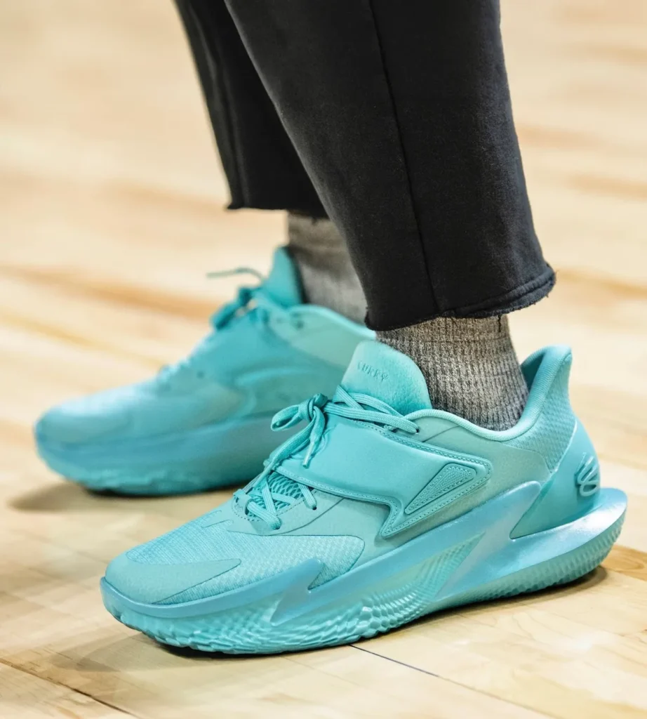 Curry Fox 2