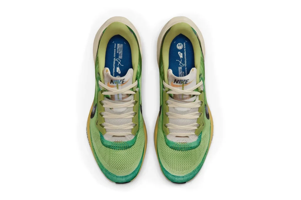 Nike Pegasus 41
