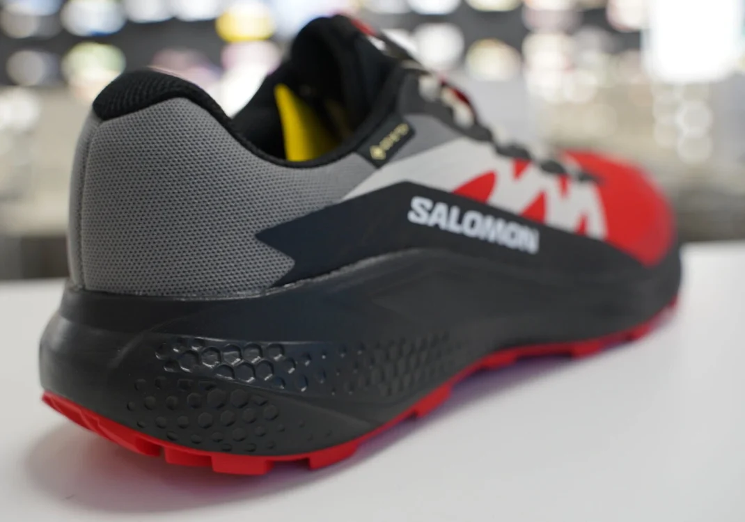 Salomon AlphaGlide Gore-Tex