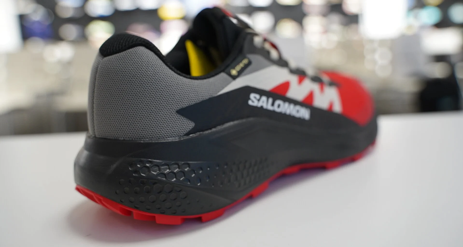 Salomon AlphaGlide Gore-Tex