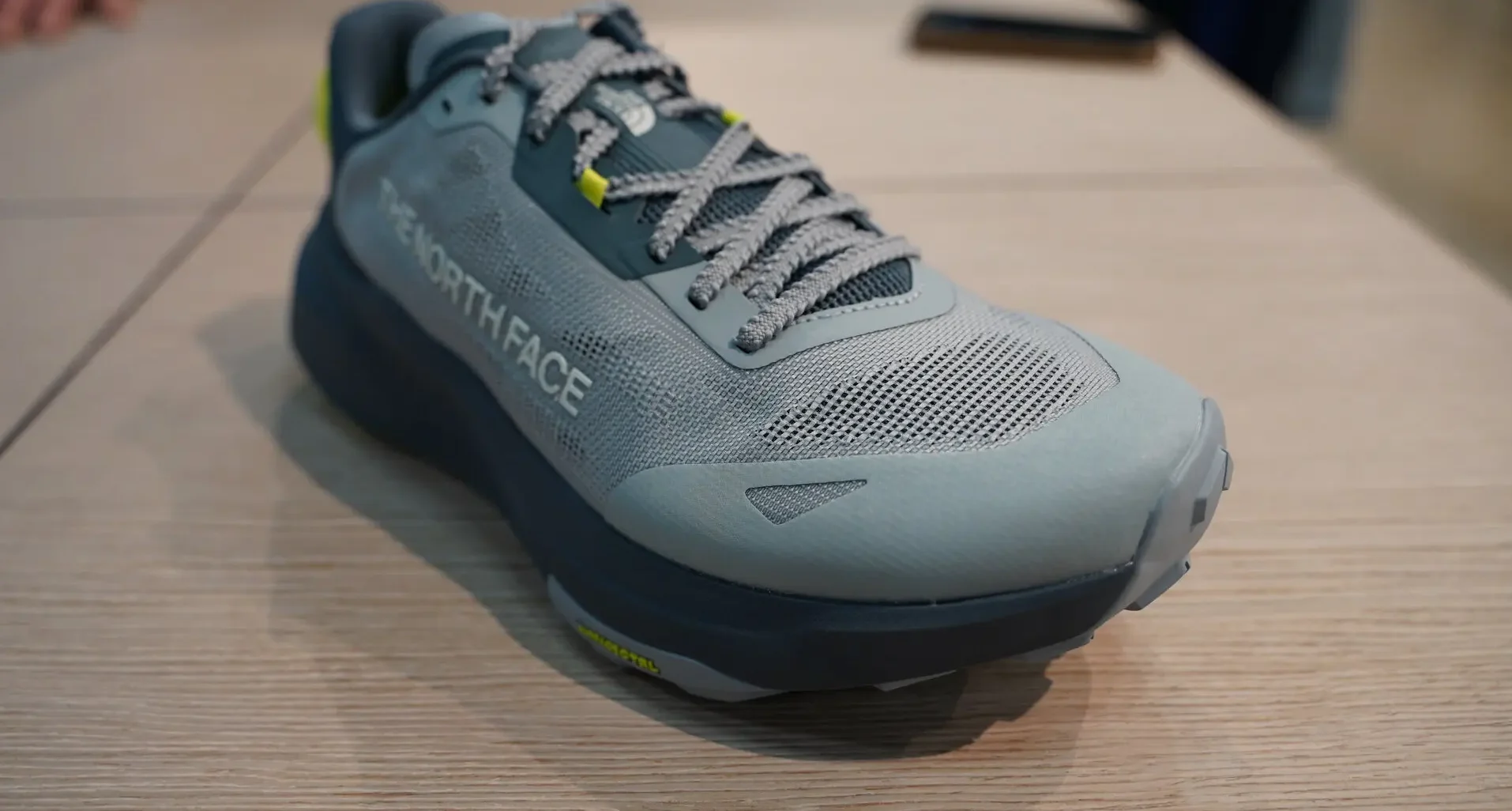 The North Face Altamesa 300 v2