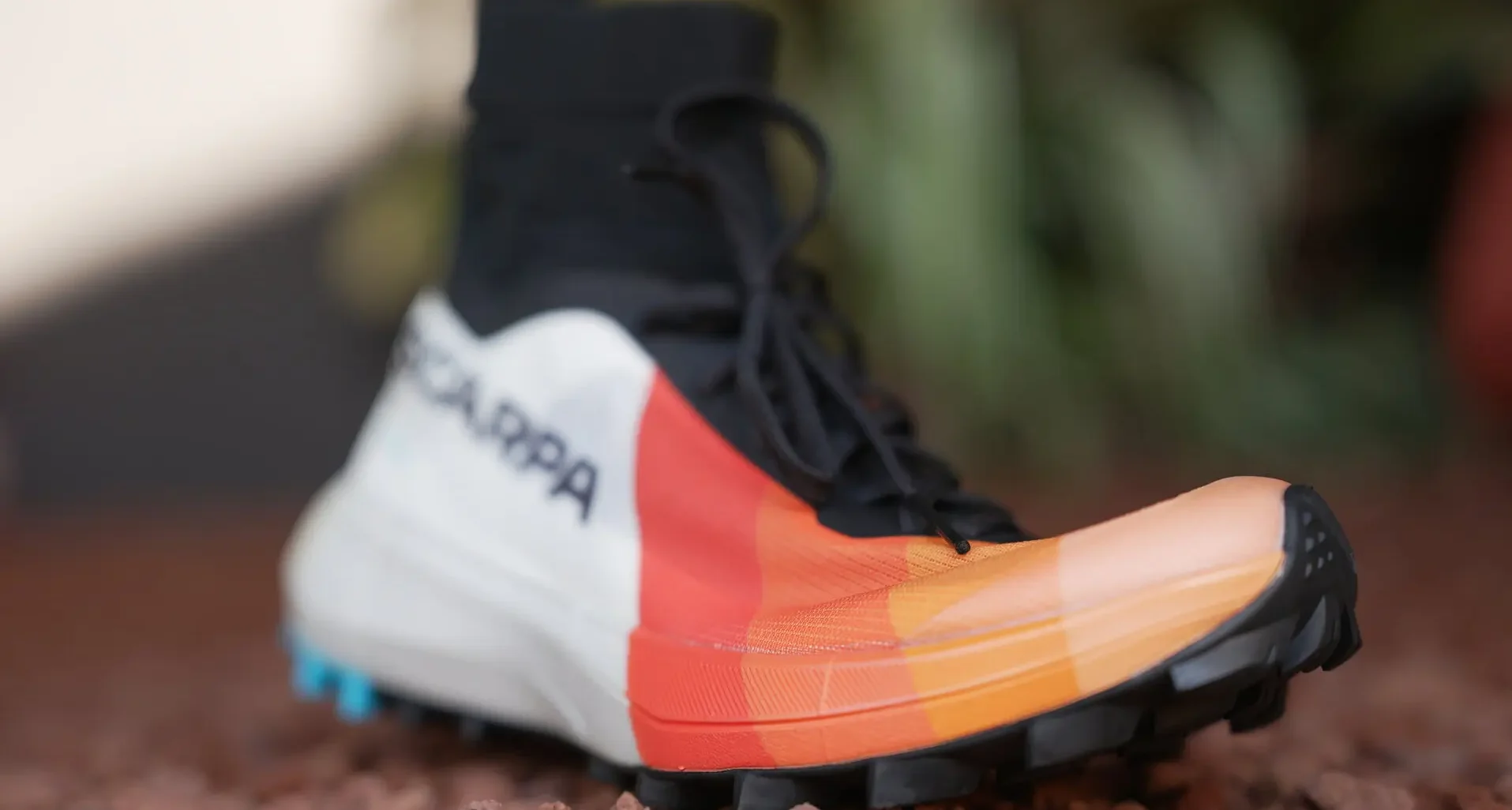 Scarpa Alien Sky